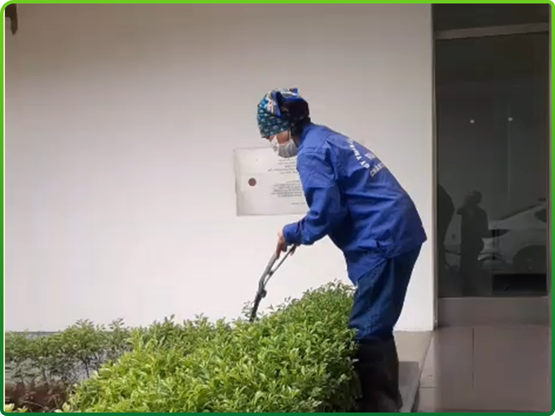 Dịch vụ chăm sóc cây cảnh khu trung tâm thương mại