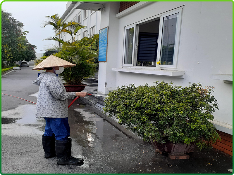 Dịch vụ chăm sóc cây cảnh trường học