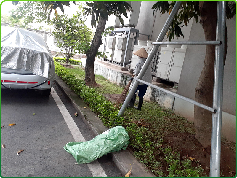 Dịch vụ chăm sóc cây cảnh cơ quan văn phòng