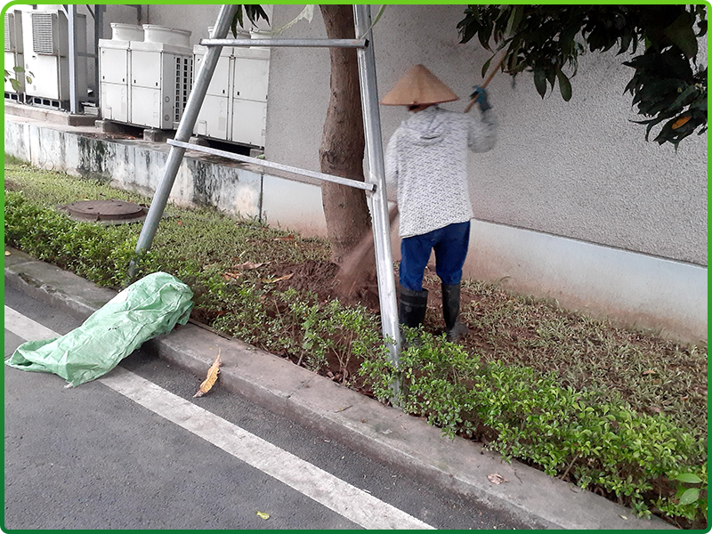 Dịch vụ chăm sóc cây cảnh chung cư khách sạn